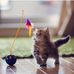 Terri Matteson - Facebook