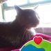 Terri Matteson - Facebook