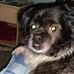 Terri Matteson - Facebook