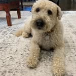 Terri Leanne - @terri.mccallion.7 - Instagram