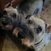 Terri McCarthy - Facebook