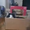 Terri Mccarthy - @terri.mccarthy - TikTok