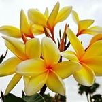 Terri Strickland McCarthy - @terri122361 - Instagram