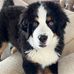 Terri McClellan - Facebook