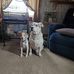 Terri McCloskey - Facebook