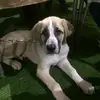 Terry Mchugh - @terry.mchugh7 - TikTok