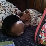 Terry Mchugh - @terrymchugh1 - Instagram