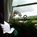 Terry Mckey - Facebook