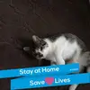 Terri McLaughlin - @terri.mclaughlin5 - TikTok