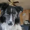 terrimclaughlin29 - @terrimclaughlin29 - TikTok