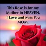 Terri McManus McSwain - @mcswainterri - Instagram