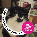 Terry L. McMaster - @katt.lady - Instagram