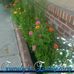 Terri Mead - Facebook