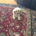 Terry Mead - Facebook