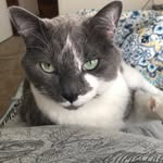 Terri Meadows - @terbear514 - Instagram