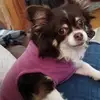 terrimeadows33 - @terrimeadows33 - TikTok