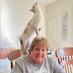 Terri Mears - @teresamears - Instagram