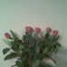 Terri Mee - Facebook