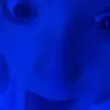 Who is this ? - @terrimeer - TikTok
