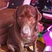 Terri Meier - Facebook