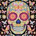 Terri Meier Vernam - Facebook
