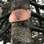 Terri Eagan Merrill - @terrimerrill1216 - Instagram