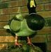 Terry Metz - Facebook