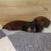 Terri Milton - Facebook