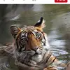 Terri Milton - @terri.milton5 - TikTok