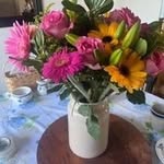 Terri Milton McRoy - @sewelegantwindows - Instagram
