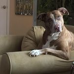 Terri Miltonberger - @terrimiltonberger - Instagram