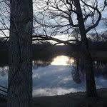 Terri Minor - @minorterri - Instagram