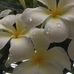 Terri Moyer - Facebook