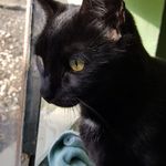 Terri Moyer - @terrimoyer2 - Instagram