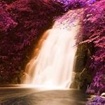 Terri Mullen - @terri.mullen.319 - Instagram