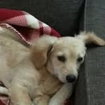 Terri Arnett-Ogle - @arnettogle - Instagram