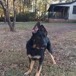 Terri Oglesby - @oglesbyterri - Instagram