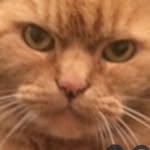 Terri Eckersley - @terri_the_chocolate_orange_ - Instagram