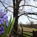 Terrie Oster - Facebook