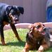 Terry Oster - Facebook