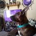 Terri Owen - Facebook