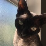 Terri Owen - @terriowen7460 - Instagram