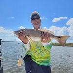 Terri Owen - @terriodolphinlady - Instagram