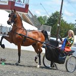Terri R. Page - @horseshowbarbie - Instagram