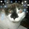 Terri Page - @terripage3 - TikTok