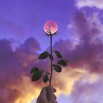 Terri LaRue Painter - @geemoo44 - Instagram