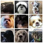 Terri Painter - @painterhaughton - Instagram