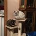 Terri Parks - Facebook