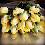 терри пасс - @terripass516 - Instagram