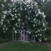 Teresa Passmore - Facebook